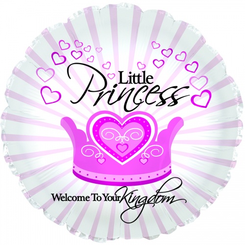 Welcome Little Princess